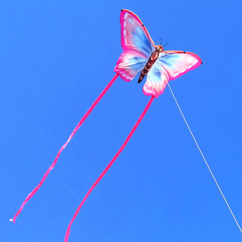 2025新款蝴蝶风筝微风易飞儿童手持纸鸢大人高档户外拍照出片神器 - 图3