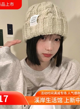 秋冬时尚针织帽女款韩版时尚麻花毛线帽保暖护耳多色可选休闲