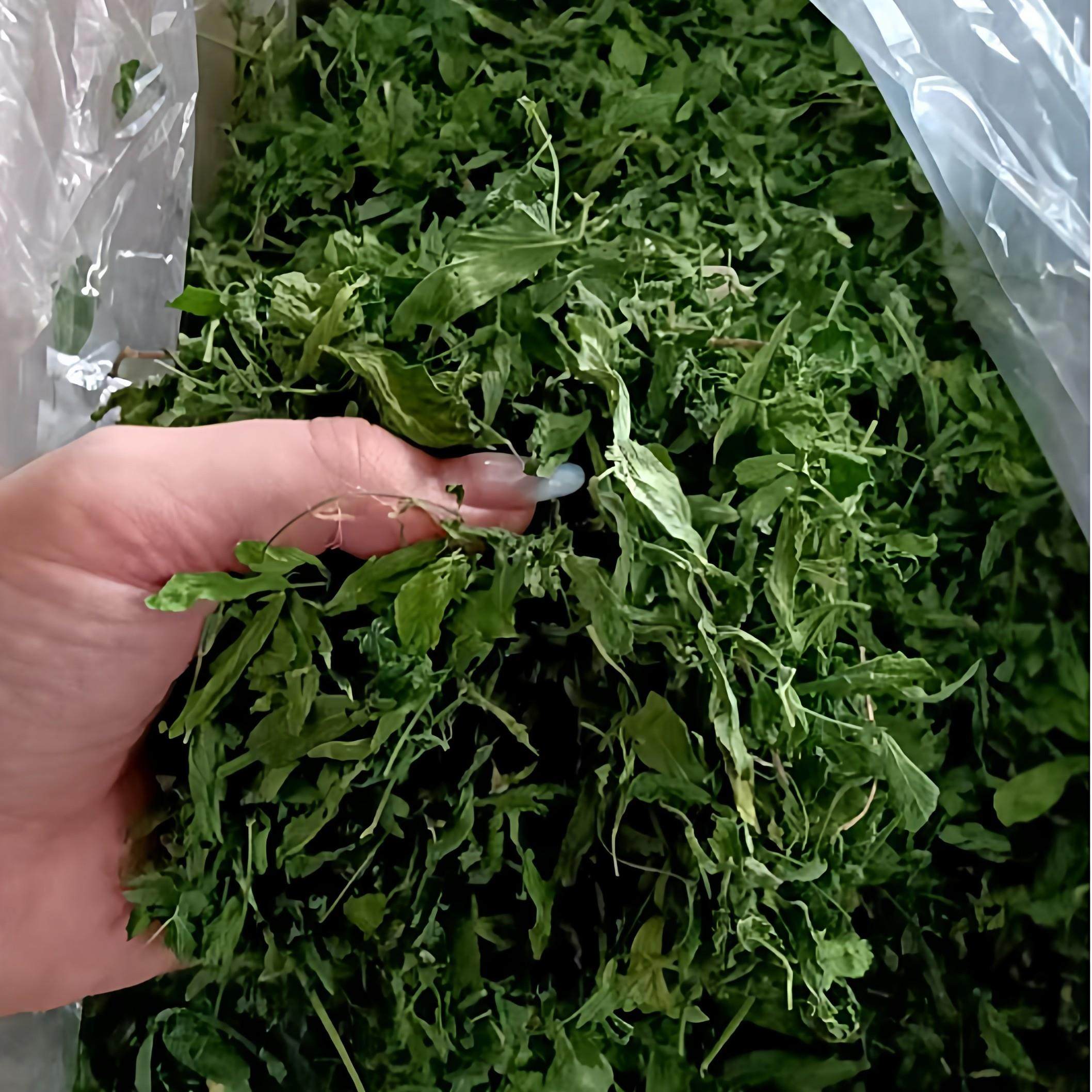 逸宠｜苜蓿草纯叶25年秋冬新草营养高蛋白龙猫兔兔豚鼠长肉肉,淘宝优惠券,粉丝福利购,淘宝优惠卷