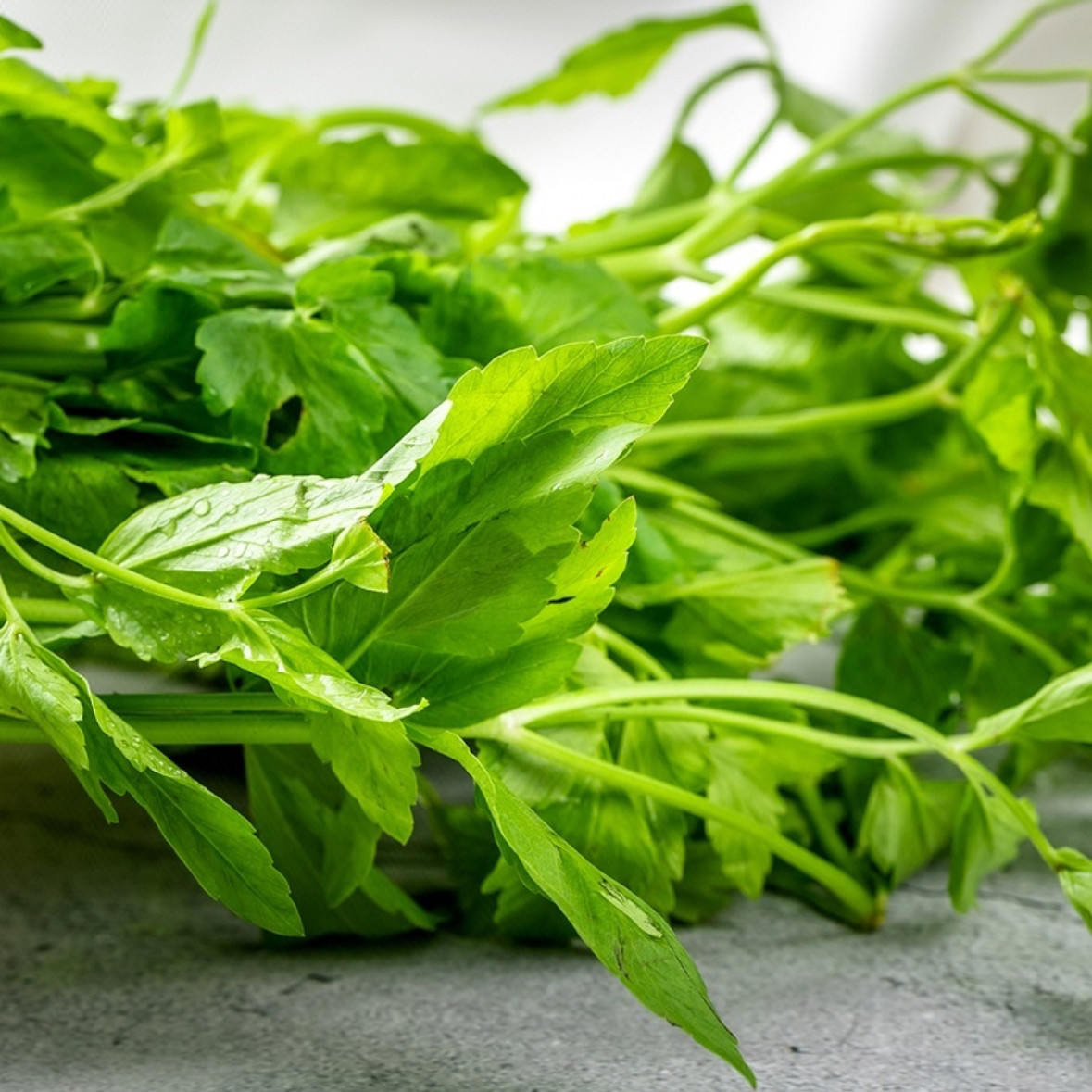 【蔬鲜记】新鲜水芹菜应季酒店食材水芹小叶农家野菜500克,淘宝优惠券,粉丝福利购,淘宝优惠卷