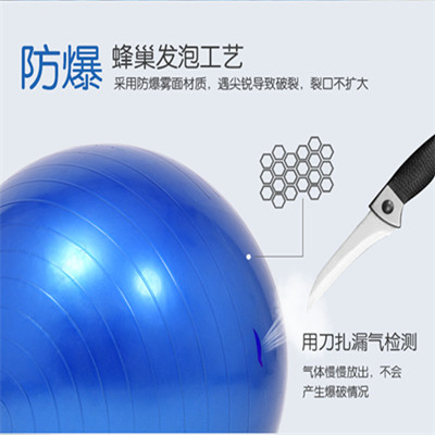 专业康复训练球瑜伽球儿童脑感统平衡巴氏球早产大笼球送气筒