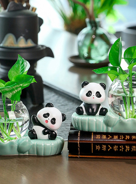 卡通熊猫水培器皿花瓶透明玻璃