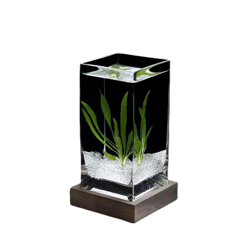 方缸加厚方形桌面玻璃鱼缸水培花瓶长方形一体高透亮斗鱼观赏性 - 图3