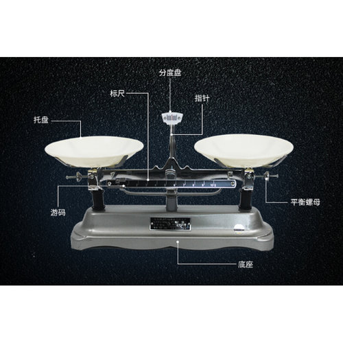 。上海马头架盘天平/托盘天平/物理天平200g/500g1000g2000g5kg百 - 图1