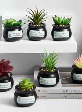 仿真绿植小摆件盆栽仙人掌多肉植物桌面装饰品治愈情绪稳定花盆