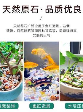 鱼缸底砂造景石头铺底沙石水族箱装饰套餐小摆件彩石五彩色砂石子
