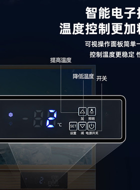 荣事达大容量饮料柜冷藏展示柜
