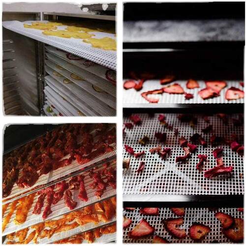 不粘食品硅胶网垫烘焙硅胶垫水果干燥垫蒸网垫肉脯垫烘肉干红薯干 - 图3