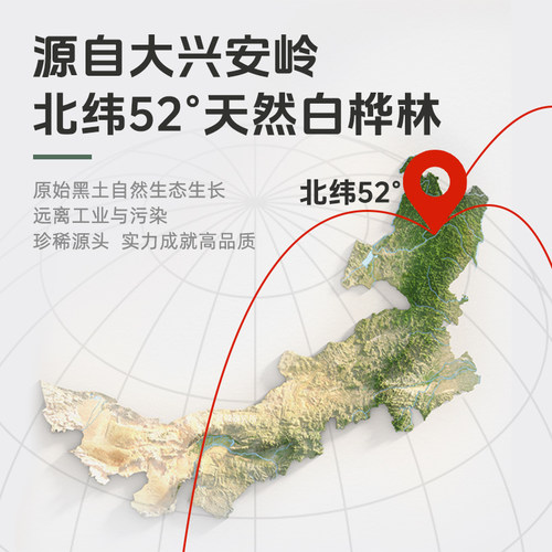 轻上100%白桦树汁原液饮品nfc天然桦树水植物饮料整箱装旗舰店 - 图2