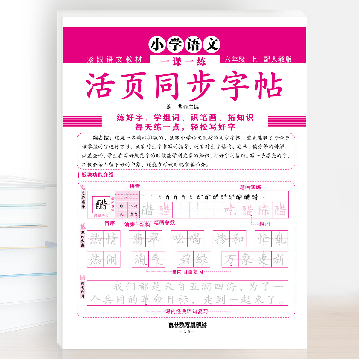 2024新版 小学语文一课一练活页同步字帖 1-6年级 每天一练 轻松写好字 紧跟语文教材 配人教版