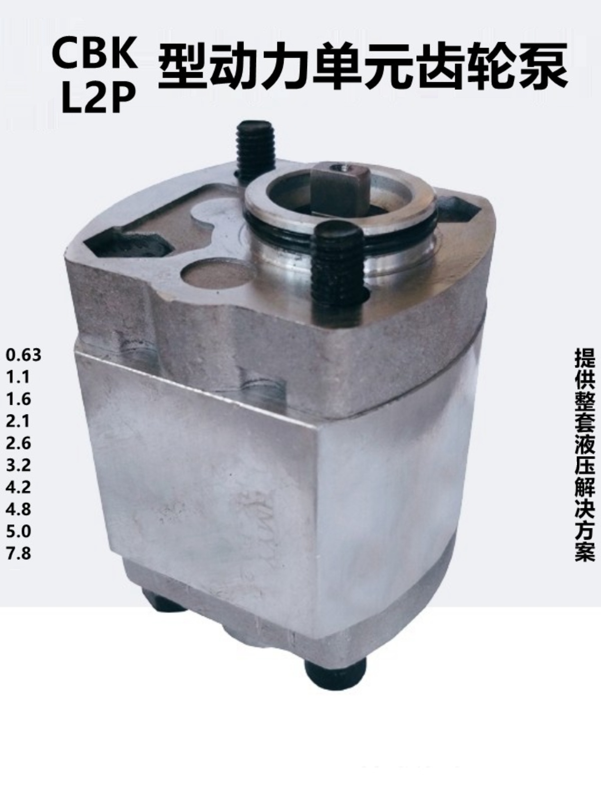 CBK-F4.8 F2.1 F1.1 F2.6 F7.8 F1.6 F4.2 L2P-F5.0 F3.2液压泵-图3