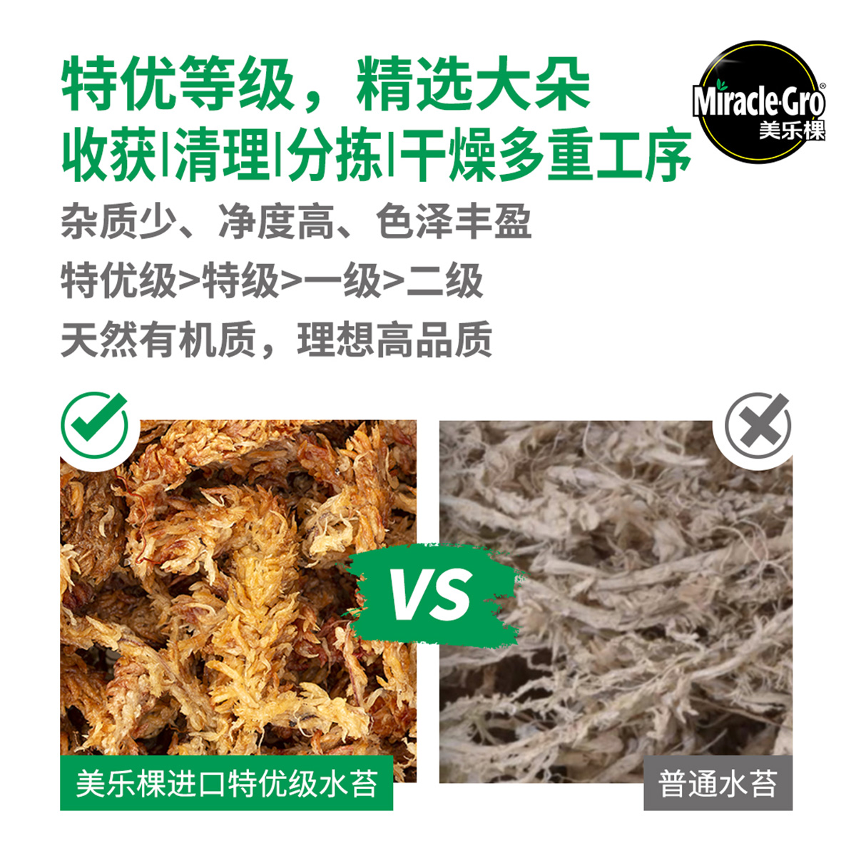 美乐棵智利进口毛毛虫水苔干苔藓蝴蝶兰洋兰兰花土乌龟冬眠垫材22 - 图1
