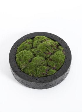 新中式现代仿洞石黑色树脂花盆仿真绿植装饰客厅桌面艺术装饰摆件