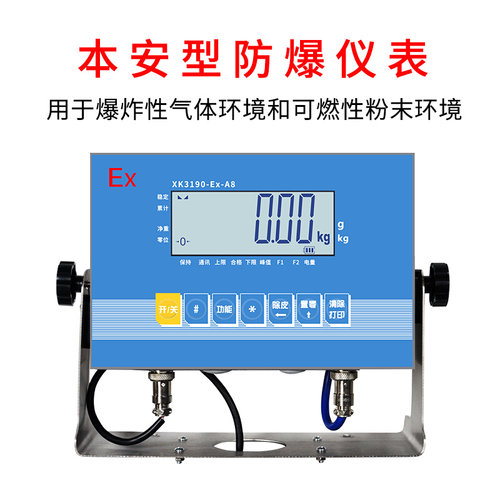 。上海耀华电子防爆地磅1t2t3吨5T工业称重化工平台秤隔爆电子地 - 图2