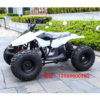 125cc Little Falcon beach ລົດຈັກ ATV ສີ່ລໍ້ off-road all-terrain ຂະຫນາດນ້ອຍ mini travel mountain ຍານພາຫະນະຫາດຊາຍ