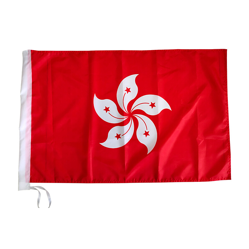。标准香港区旗紫荆花红旗香港旗手持四号旗特区八号小红旗帜各种 - 图1