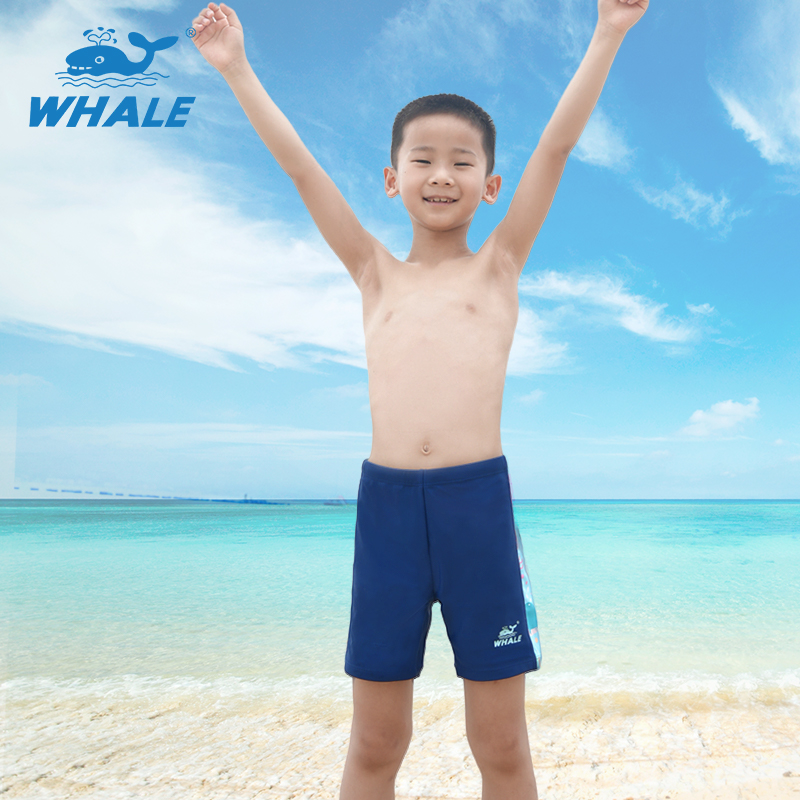 鲸鱼男孩泳裤男士运动时尚夏季冲浪速干五分训练亲子家庭平角泳裤