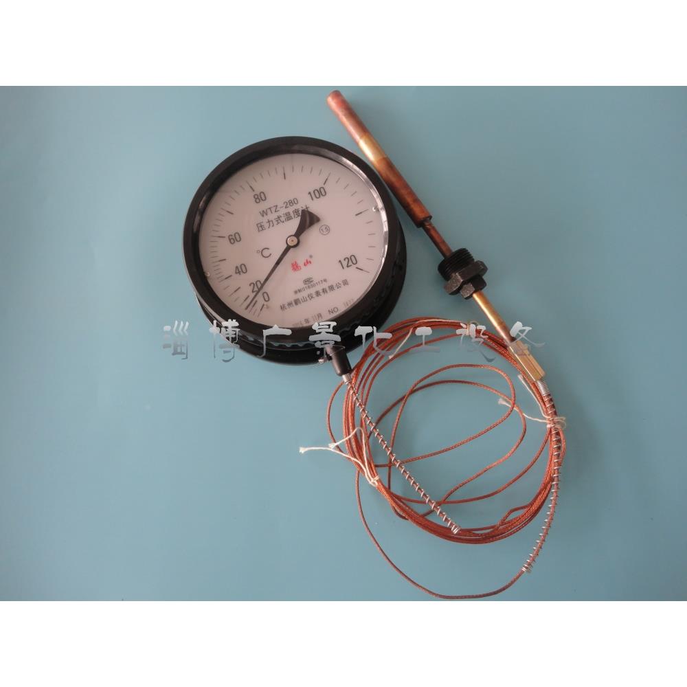 WTZ-280压力式温度计测油温测水温工业锅炉水温表指针温度表 - 图0