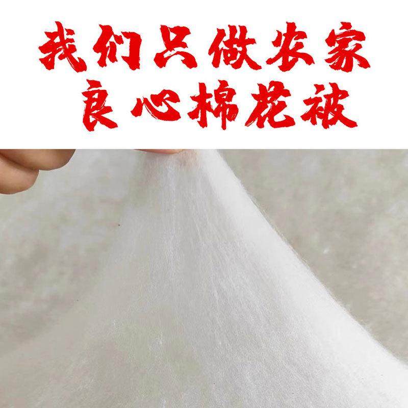 新疆棉花被子全棉被被芯纯棉胎垫被单人宿舍冬被保暖棉絮床垫铺底,淘宝优惠券,粉丝福利购,淘宝优惠卷