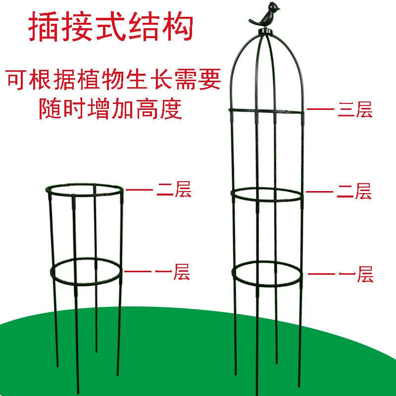 植物支撑杆昙花专用支架月季花架园艺爬藤花铁线莲紫藤攀爬阳台撑 - 图3