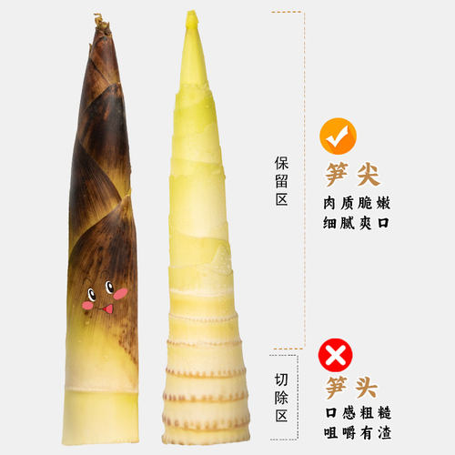 2025年奉化油焖笋浙江宁波特产农家土灶酱油烤春笋雷笋即食下饭菜 - 图2