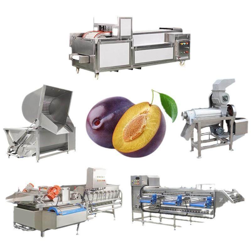 西梅去核机清洗榨汁机加工樱桃李子杏子多种水果,淘宝优惠券,粉丝福利购,淘宝优惠卷