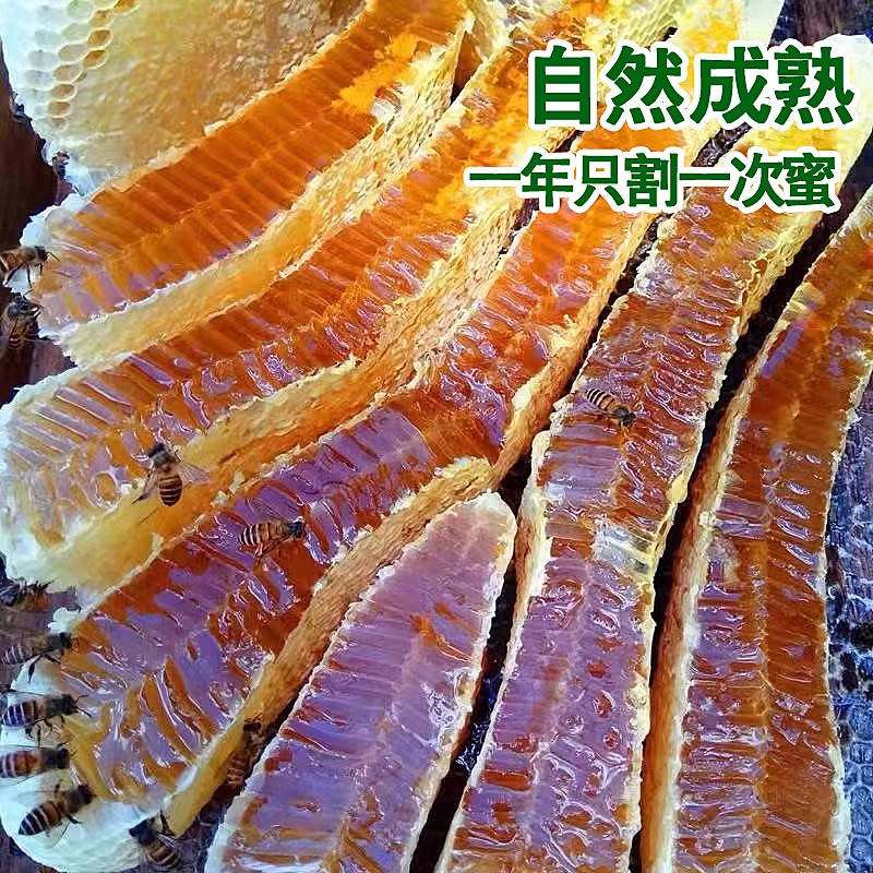 蜂蜜纯正土蜂蜜农家自产秦岭正装留坝百花蜜原蜜500g蜜