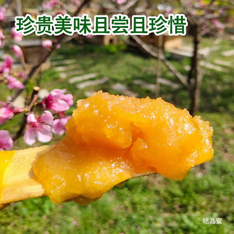 蜂蜜纯正土蜂蜜农家自产秦岭正装留坝百花蜜原蜜500g蜜