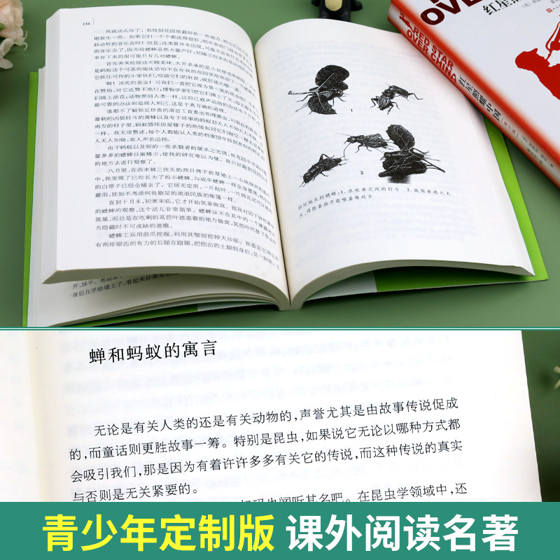 昆虫记和红星照耀中国人民文学出版社正版原著 八年级上册读青少版西行漫记初二8年级上册法布尔完整版无删减中学生课外阅读书籍 - 图1