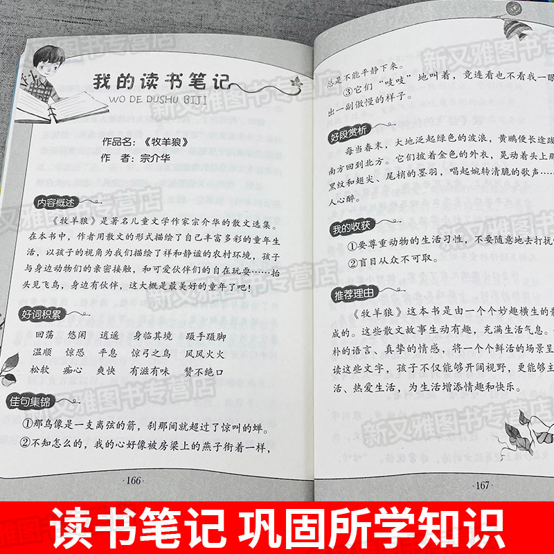 带刺的朋友三年级上册适读的课外书童年四季全集全套4册经典书目小学生3年级上学期语文阅读书籍 宗介华著 北京教育出版社 - 图2