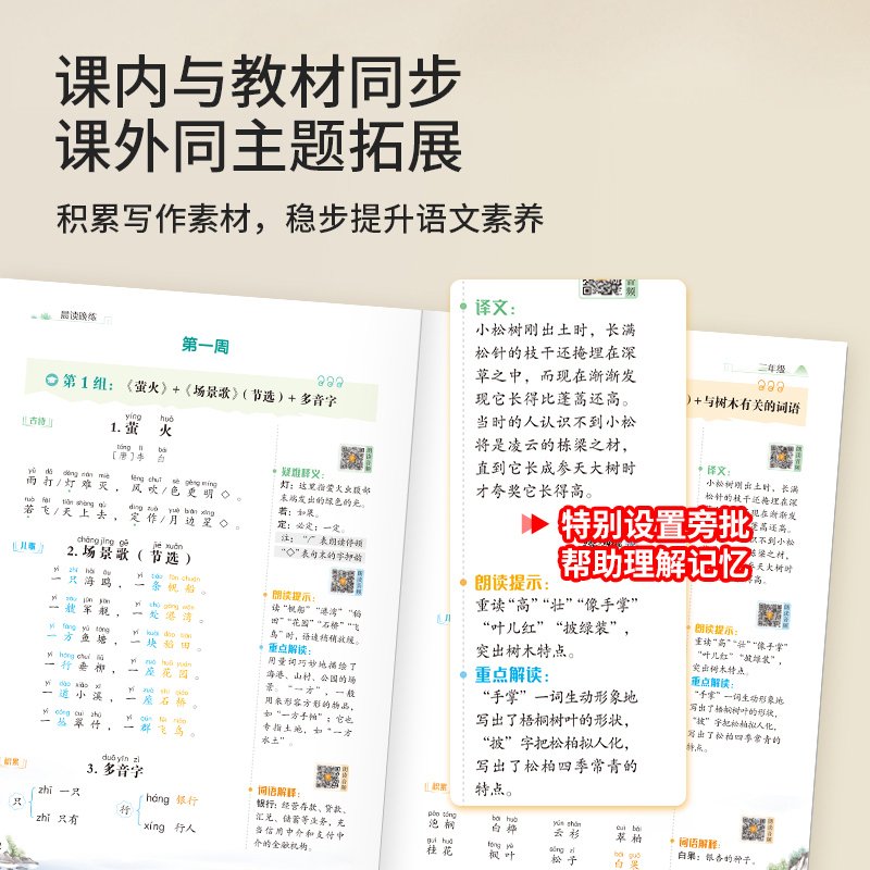 红逗号晨读晚练337主题晨读番茄法提分训练一二三四五六年级小学生语文每日早读十分钟晨读本优美句子积累大全阅读美文100篇小古文