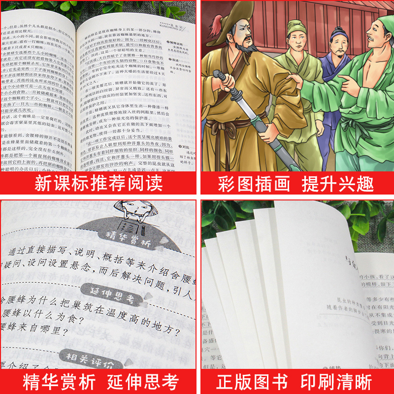 水浒传学生版小学生原著正版初中课外阅读书籍五六七八年级读老师语文读物青少年版儿童四大名著完整白话文天地出版社