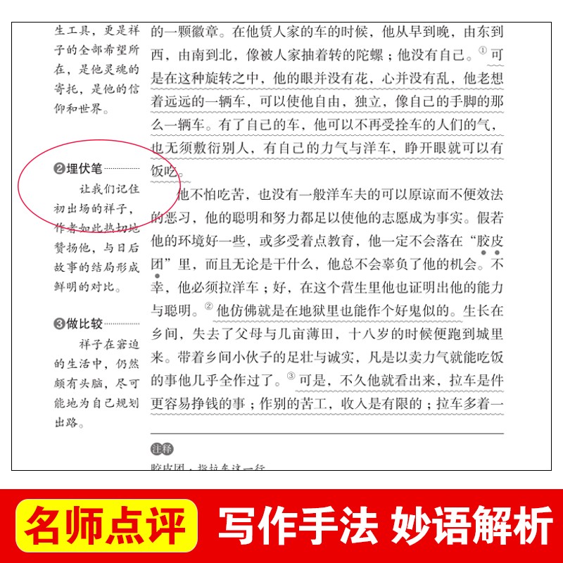 骆驼祥子原著正版老舍的 小学生五年级六年级读课外书籍 老师无障碍阅读 导读版青少年版天地出版社七年级上册和海底两万里