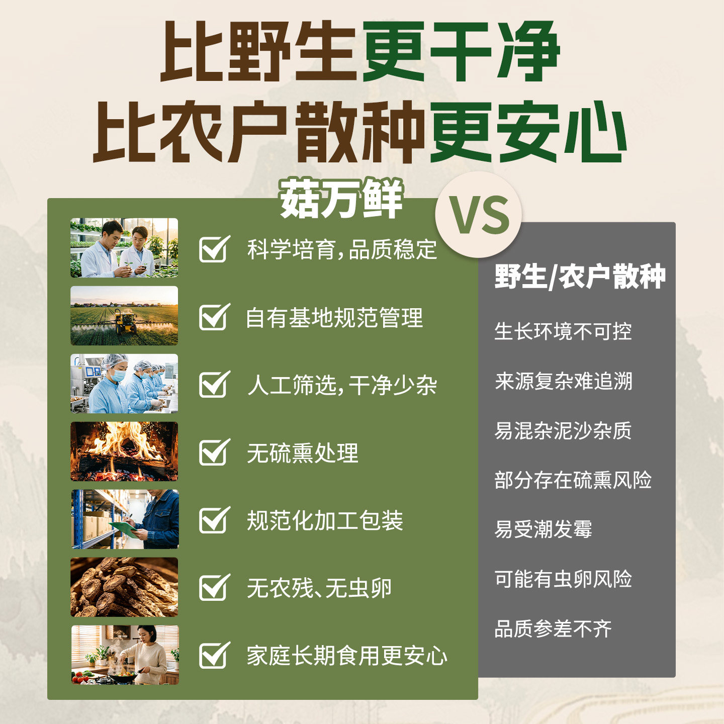 菇万鲜5A鹿茸菇干货特级鹿茸菌煲汤菌菇正品官方旗舰店500g特产