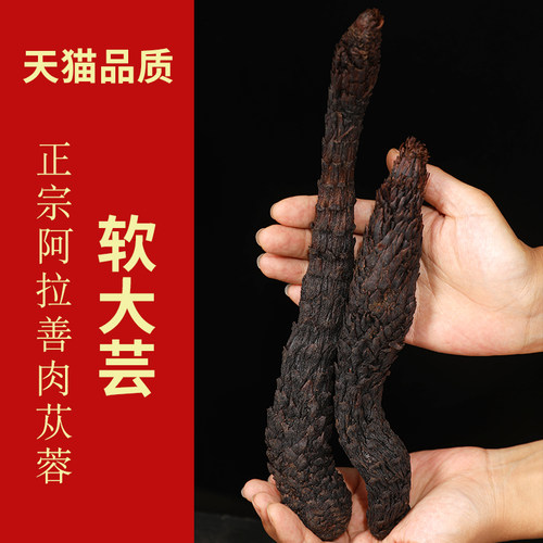肉苁蓉500克g包邮油苁蓉内蒙古阿拉善软肉苁蓉软大芸非大云中药材 - 图1