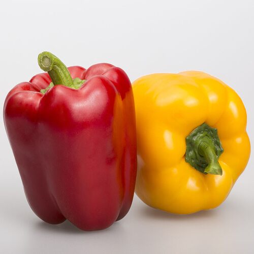 【YIKECAI】红黄彩椒500g 灯笼椒甜辣椒新鲜生吃圆椒沙拉蔬菜食材 - 图3