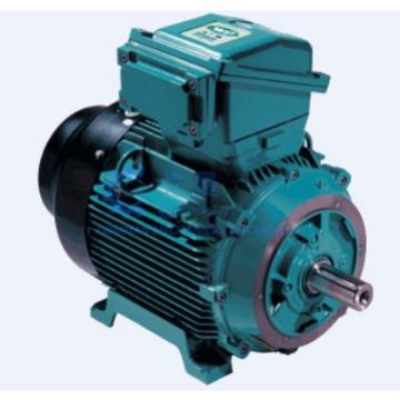 英国BROO电机供应英国BROO马达T-DA71B4 - 图2