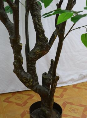 北欧仿真植物榕树盆栽塑料大绿植室内假树造景客厅摆件装饰榕树