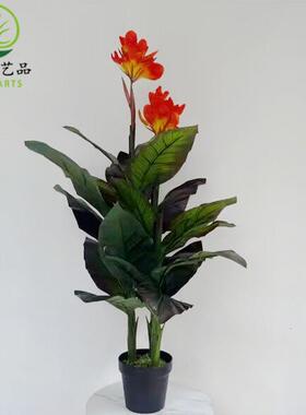 仿真绿植美人蕉红美人鹤望兰大型盆栽造景组合景观装饰摆件