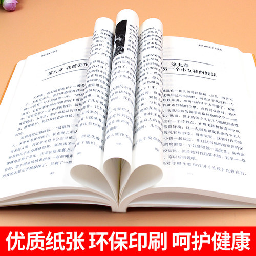 木头娃娃的百年旅行纽伯瑞儿童文学金奖 9-12岁小学生课外阅读四五六年级阅读课外书读名师指导课外阅读读书籍-图2