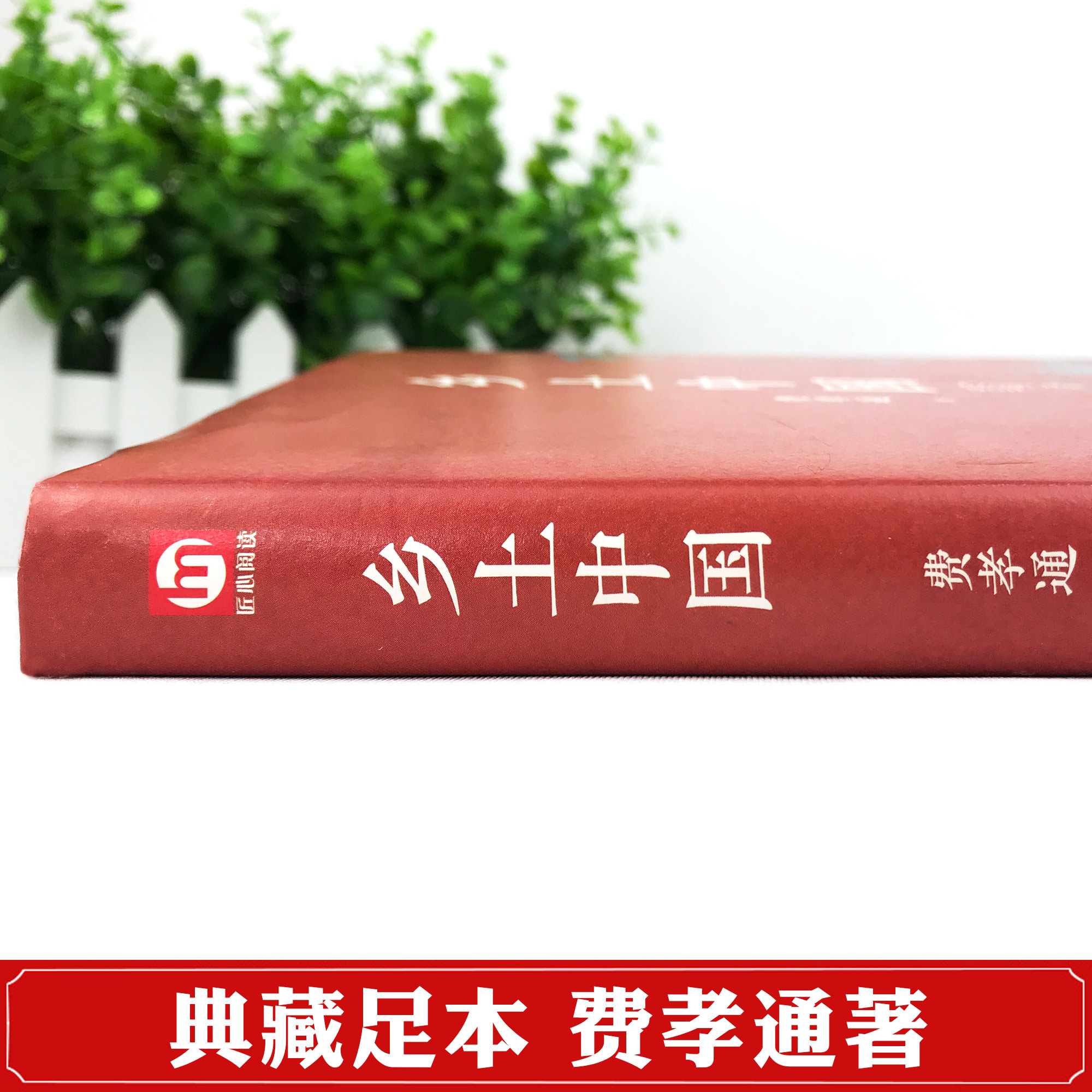 精装正版 乡土中国高中读费孝通整本书阅读原著正版无删减原版文学名著高一高中课外阅读书籍红楼梦人民文学教育课外青岛出版社 - 图1