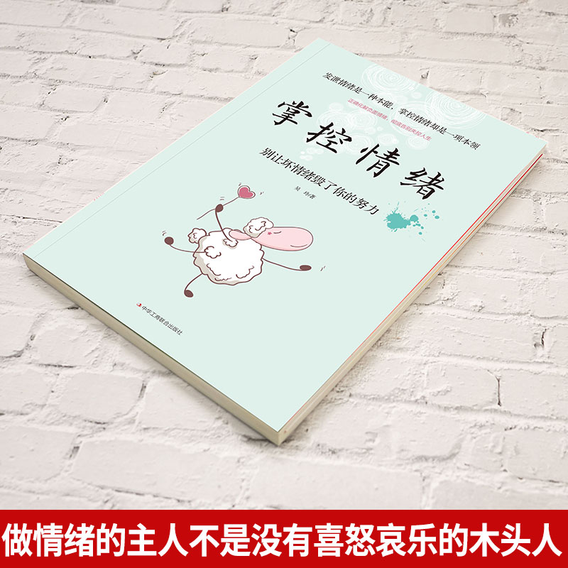 掌控情绪化解负面情绪心理学 学会自我管理焦虑怎样缓解焦虑与恐惧阳光心态积极工作力量自己的心理问题咨询师书籍工商联社