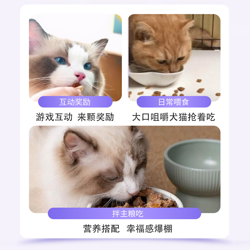 蓝莓叶黄素片猫咪狗狗护眼明目宠物改善视力缓解眼疲劳,淘宝优惠券,粉丝福利购,淘宝优惠卷