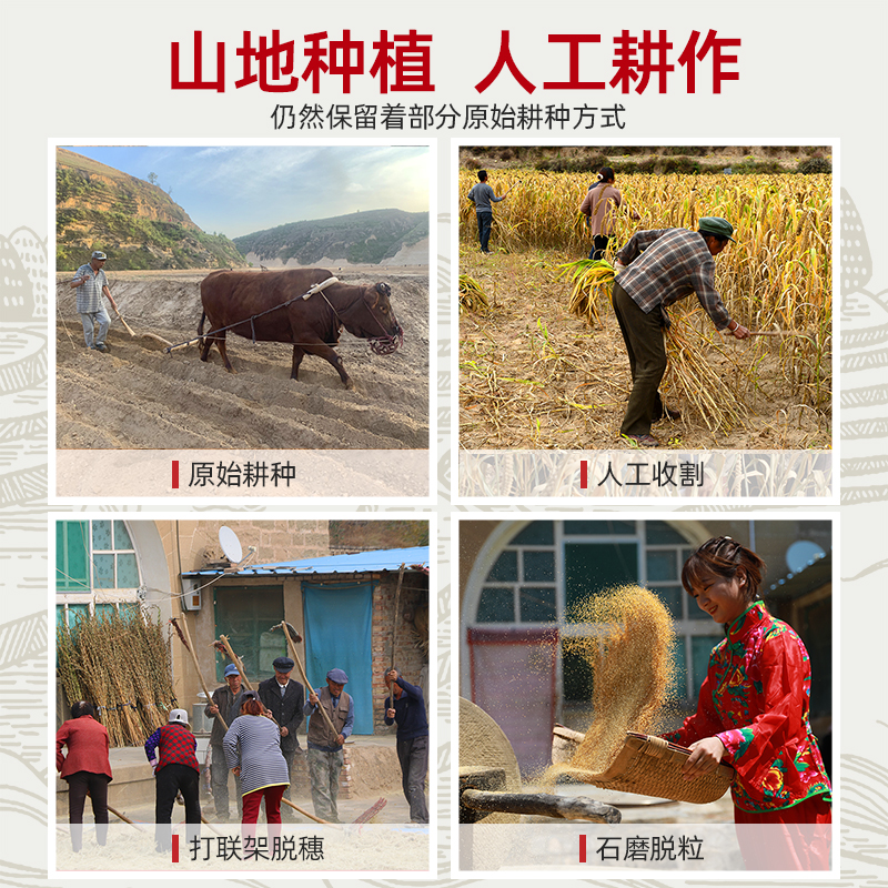 素材图