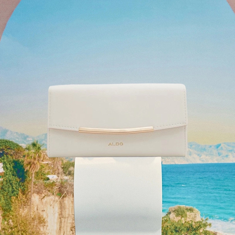 ALDO女士钱包信封形零钱包商务简约通勤纯色手拿AHQS24A70,淘宝优惠券,粉丝福利购,淘宝优惠卷
