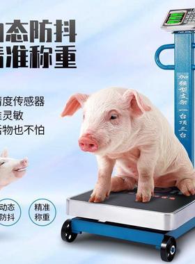 电子秤大型500公斤电子台秤磅秤300货物称1000斤机械地磅直销