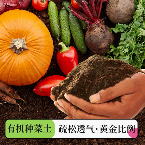 营养土养花专用通用种菜土壤种植土种花花土泥土栽培土 - 图0
