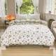 Four-season four-piece set all-cotton pure cotton new thickened quilt cover bed sheet student dormitory three-piece set simple single quilt cover