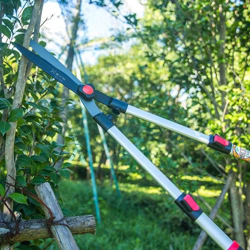 园艺大剪刀园林花剪修花修枝剪花木剪草修草坪绿篱剪强力修剪树枝 - 图0