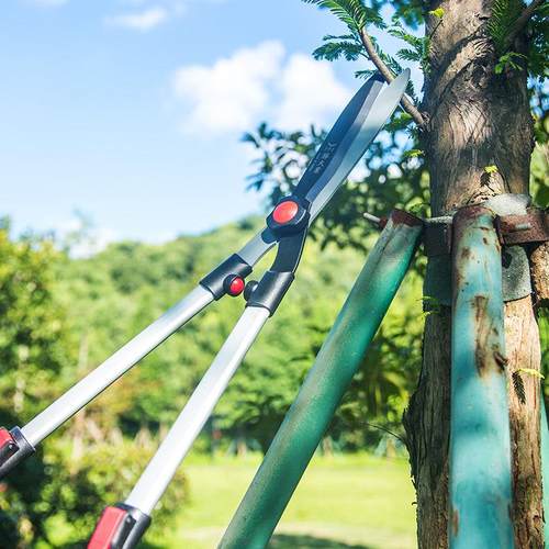 园艺大剪刀园林花剪修花修枝剪花木剪草修草坪绿篱剪强力修剪树枝 - 图1